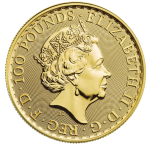 Henectus tincidunt - obrazek 3