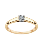 Henectus tincidunt - obrazek 4